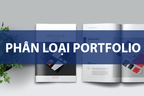 Phân loại Portfolio như thế nào